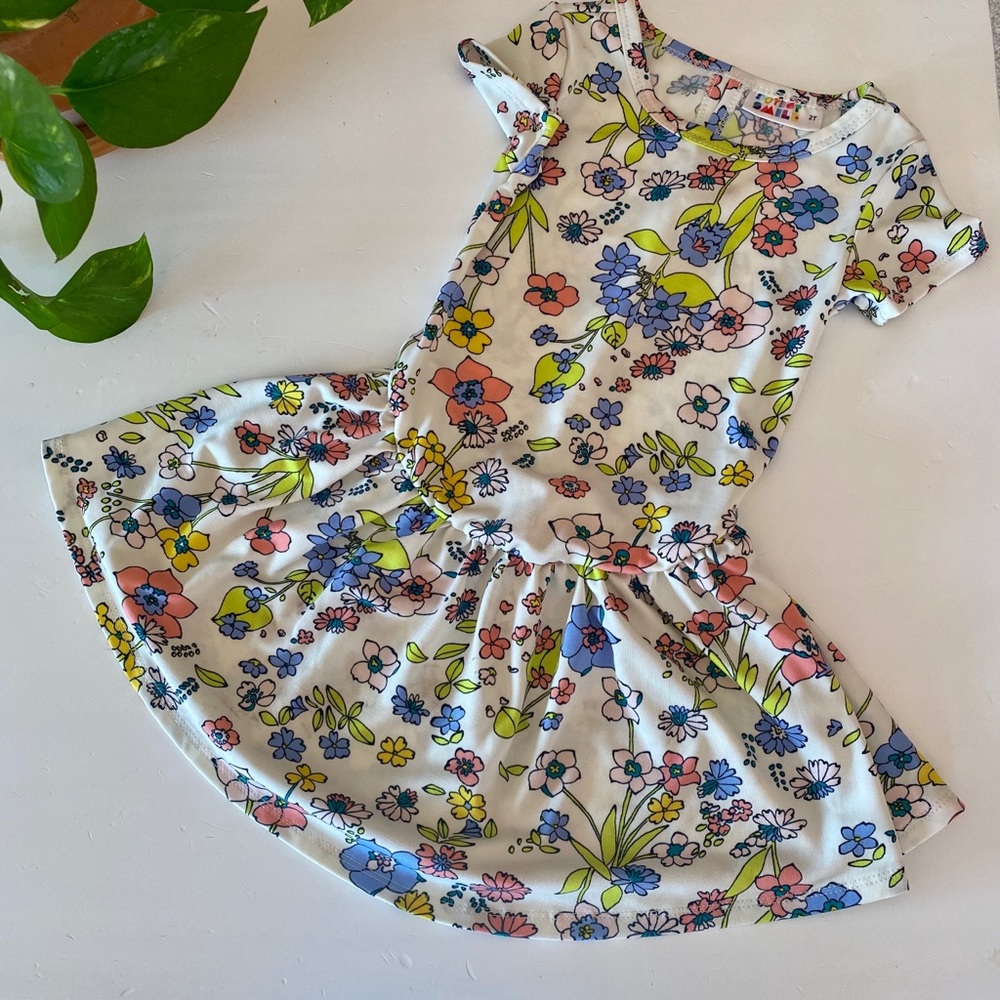 Dress size 2T